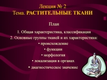 Лекция № 2 Тема. РАСТИТЕЛЬНЫЕ ТКАНИ