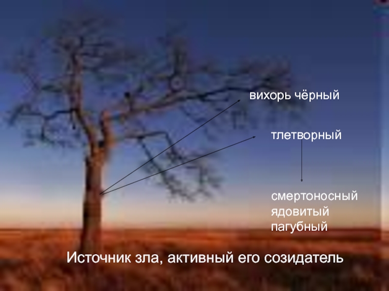 Скупая пустыня. Дерево Анчар Пушкин. Анчар дерево яда. Остров Ява дерево Анчар. Анчар иллюстрации.