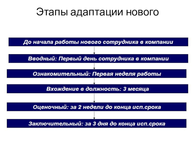 Этапы адаптации