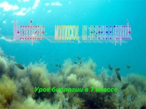 Многообразие моллюсков, их значение в природе