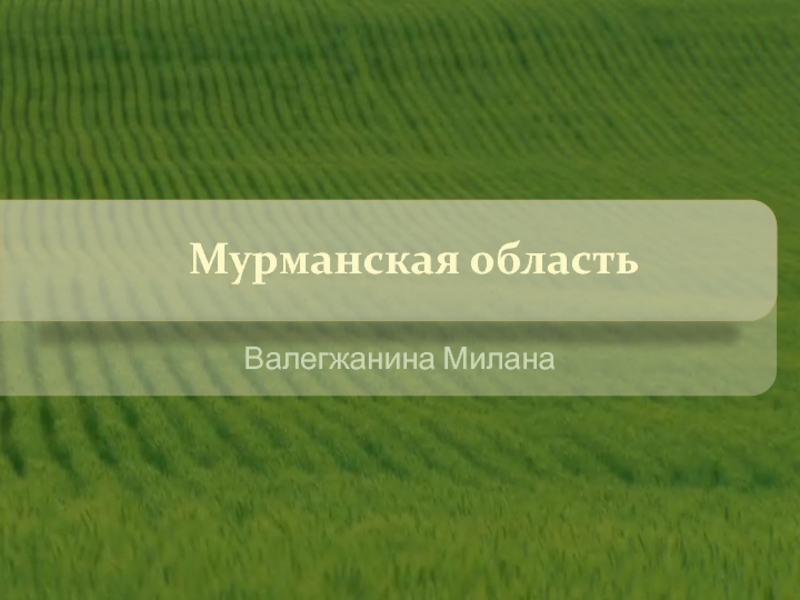 Мурманская область