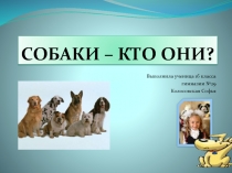 Собаки. Кто они? 1 класс