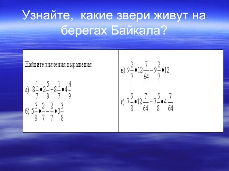 Узнайте, какие звери живут на берегах Байкала?