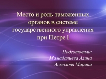 Место и роль таможенных органов в системе государственного управления при Петре I