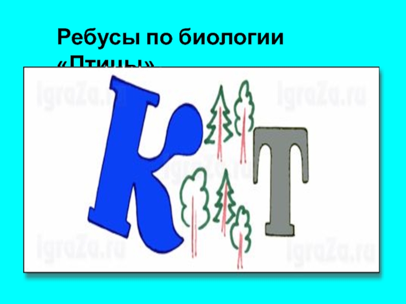 Ребусы по биологии. Ребусы по биологии про птиц. Биологические ребусы. Биологические ребусы 5 класс с ответами.