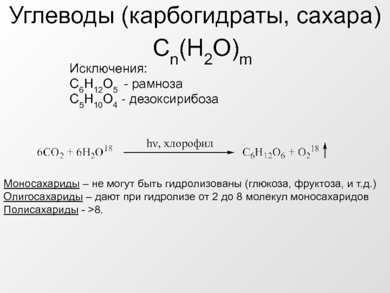 Презентация Углеводы (карбогидраты, сахара)