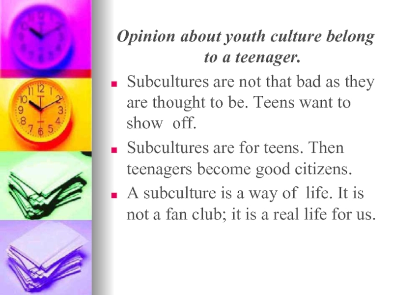 Opinion about youth culture belong to a teenager.Subcultures are not that bad as they are thought to