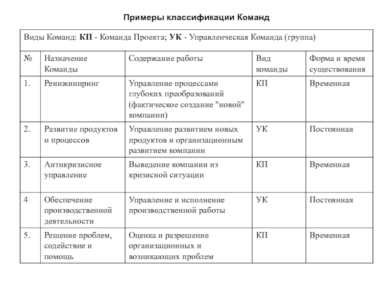 Основные характеристики команды проекта