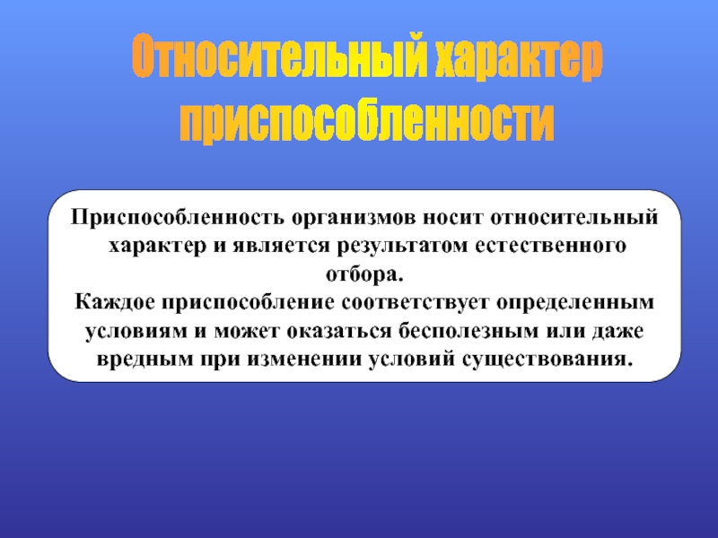 Относительный характер. Описание приспособленности организма и ее относительного характера. Относительный характер приспособленности дельфина. Относительный характер приспособленности Сокола. Жираф относительный характер приспособленности.