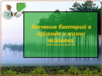 Значение бактерий в природе и жизни человека