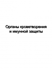 Органы кроветворения и  иммунной защиты