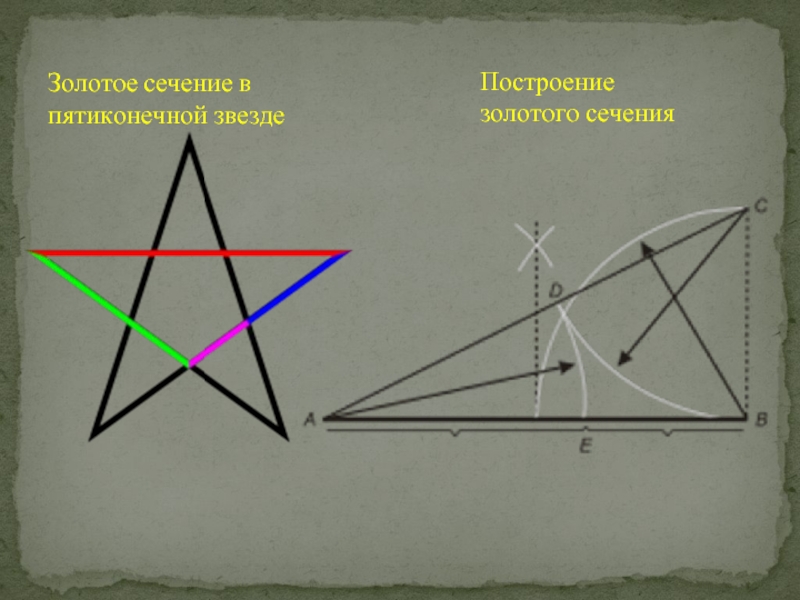 Золотое сечение проект 9 класс