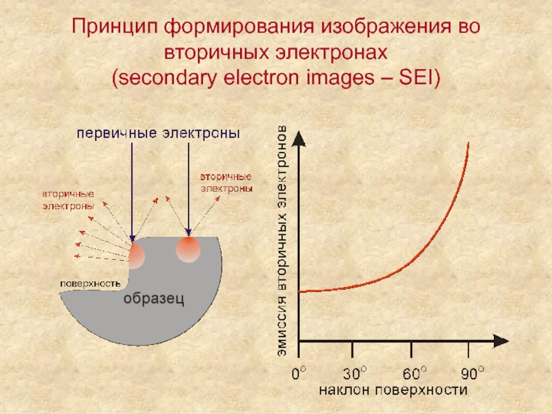 Принцип формирования изображения во вторичных электронах (secondary electron images – SEI)