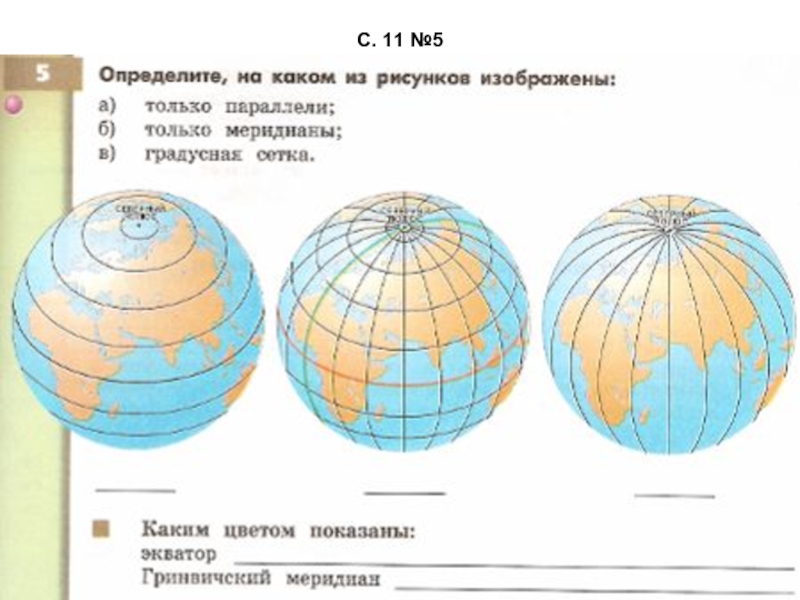 Географические координаты рисунок