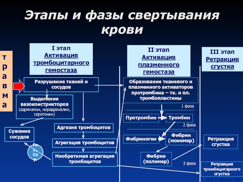 Свертывания крови этапы фаза активации. Плазмохимическая активация. Фаза активации коагуляции ретракции схема. Ретракция физиология.