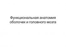 Функциональная анатомия оболочек и головного мозга