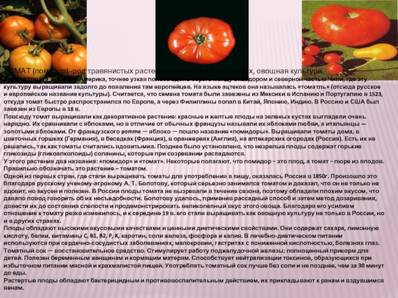 ТОМАТ (помидор) -род травянистых растений семейства пасленовых, овощная культура.Родина томата — Южная Америка, точнее узкая полоса вдоль