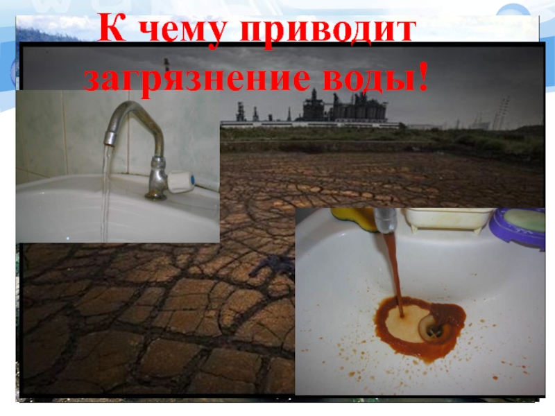 Загрязнение воды проект 9 класс