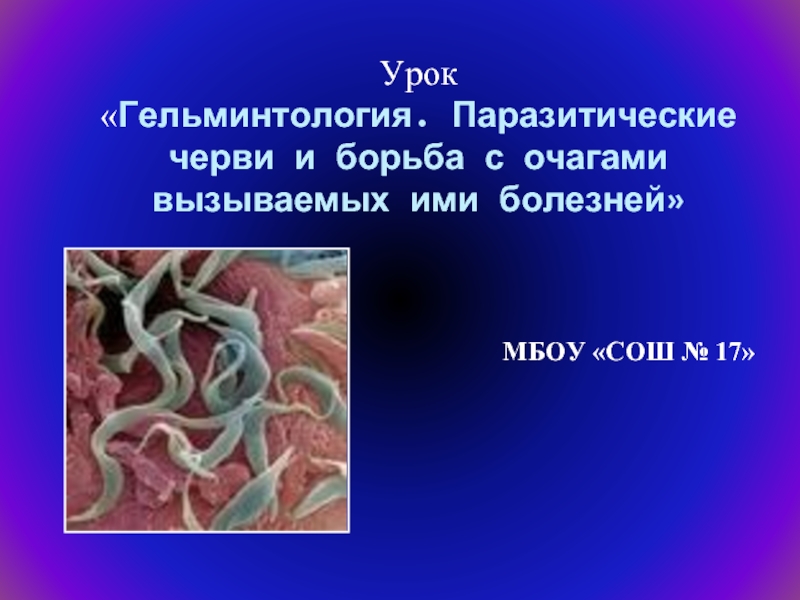 Презентация Гельминтология. Паразитические черви и борьба с очагами вызываемых ими болезней