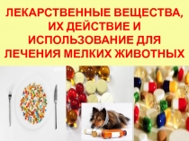 ЛЕКАРСТВЕННЫЕ ВЕЩЕСТВА, ИХ ДЕЙСТВИЕ И ИСПОЛЬЗОВАНИЕ ДЛЯ ЛЕЧЕНИЯ МЕЛКИХ ЖИВОТНЫХ