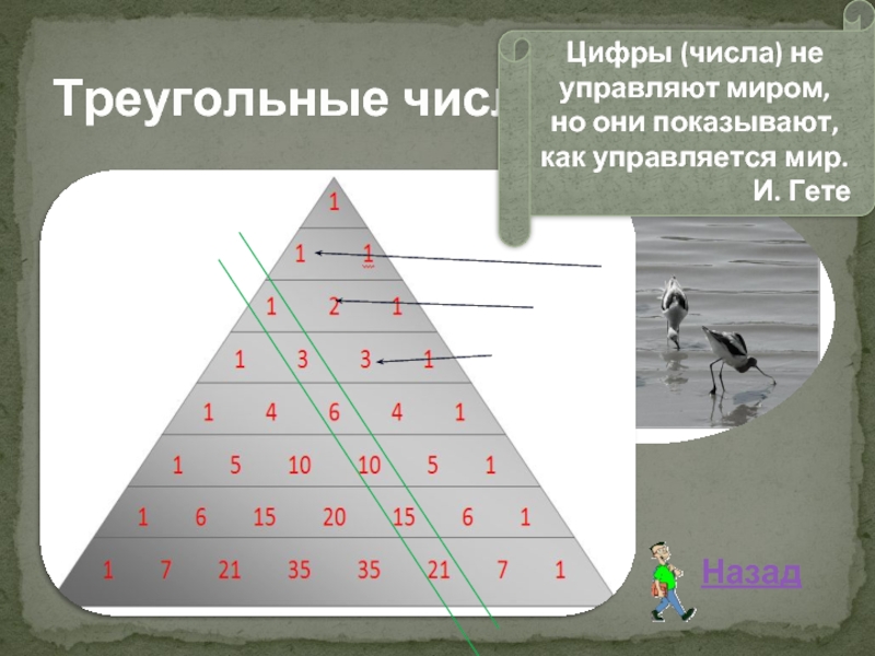 Числа не управляют миром но показывают как управляется мир числа миром показывают мир проект