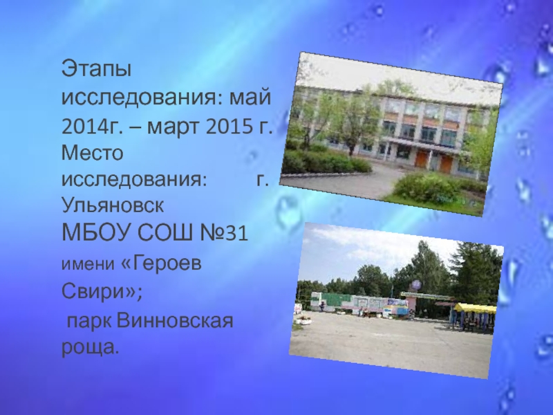 Этапы исследования: май 2014г. – март 2015 г.Место исследования: г. Ульяновск