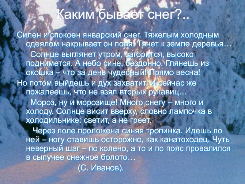 Каким бывает снег?..Силен и спокоен январский снег. Тяжелым холодным одеялом накрывает он поля. Тянет к земле деревья…