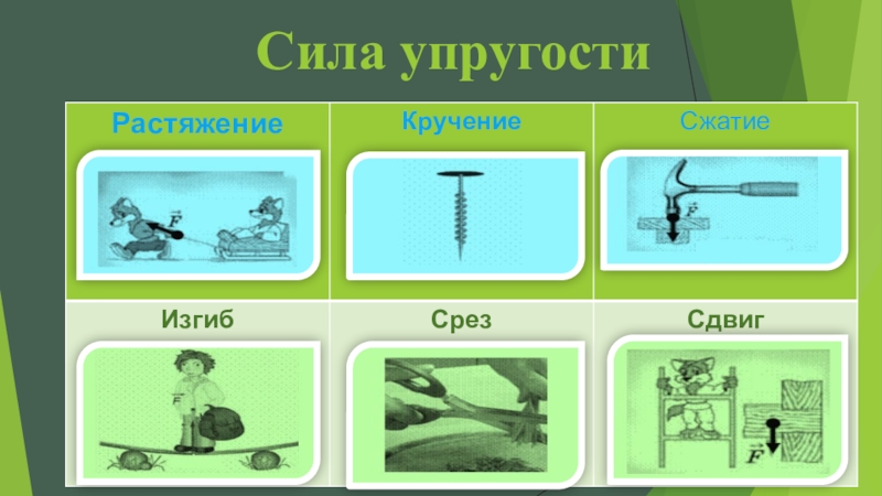 Тест силы в природе. Сила упругости тест 10 класс. Частный случай силы упругости. Фиксики сила упругости. Сила упругости тест онлайн.