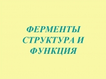 Ферменты структура и функция