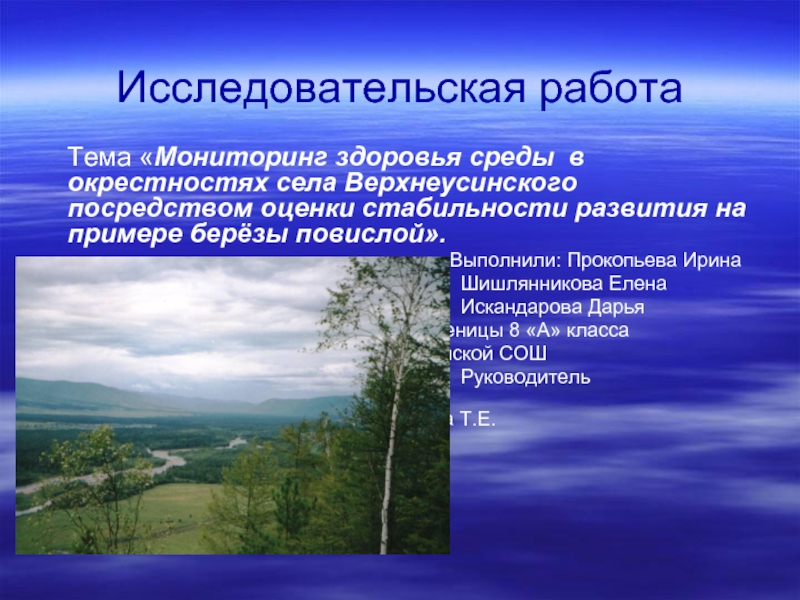Презентация Мониторинг здоровья среды в окрестностях села Верхнеусинского посредством оценки стабильности развития на примере берёзы повислой