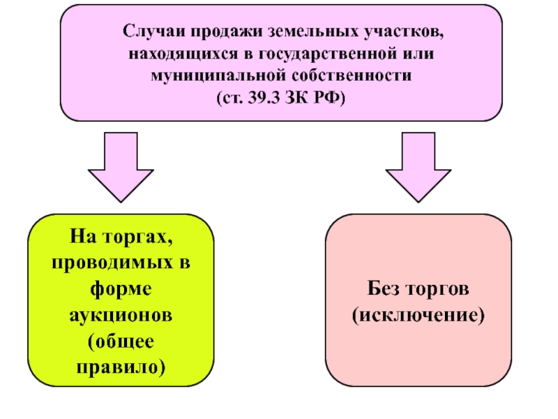 Продаж случай. Земельное право презентация 2021. Случай в продаже. Реферат по дисциплине земельное право. Курск презентация земельное право.