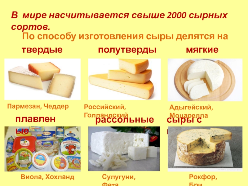 Виды сыров названия с фото