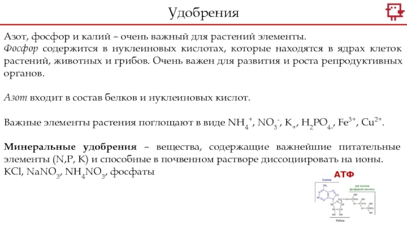 Дайте характеристику элемента фосфора