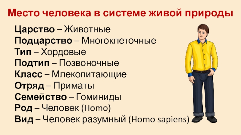 Место человека в мире. Место человека в системе. Место человека в системе природы. Место человека среди млекопитающих. Место человека в системе живого мира.