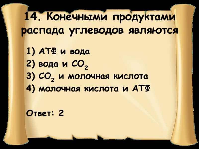 Конечными продуктами углеводов являются. Конечные продукты распада углеводов.