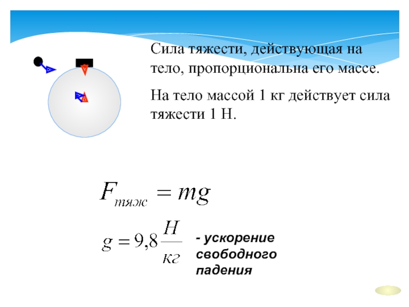 На какое из показанных на рисунке тел действует наибольшая сила тяжести