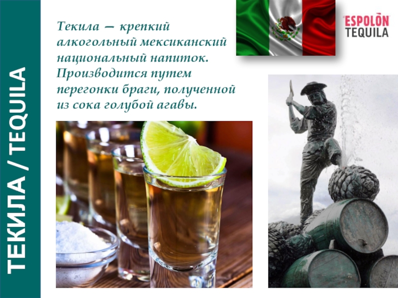 ТЕКИЛА / TEQUILA
Текила — крепкий алкогольный мексиканский национальный