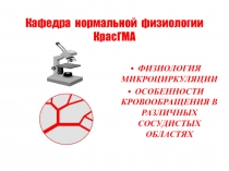 ФИЗИОЛОГИЯ МИКРОЦИРКУЛЯЦИИ ОСОБЕННОСТИ КРОВООБРАЩЕНИЯ В РАЗЛИЧНЫХ СОСУДИСТЫХ ОБЛАСТЯХ