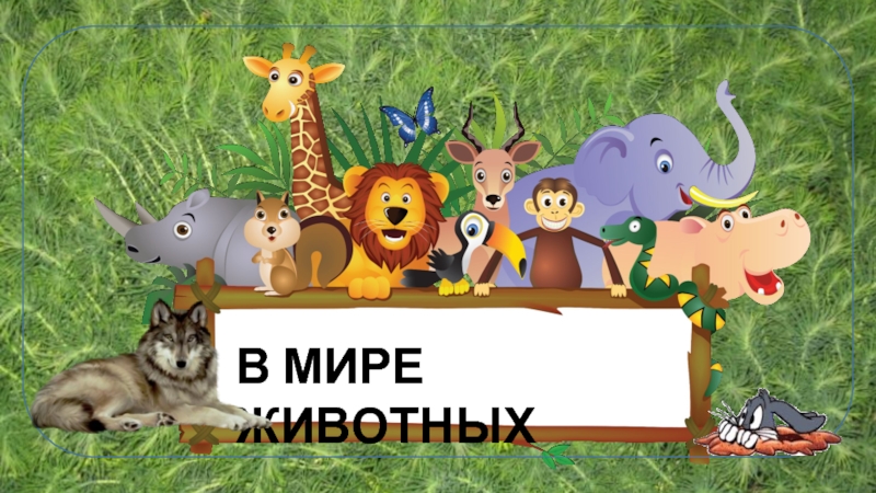 Презентация Игра «В мире животных»