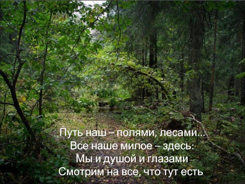 Закон идет лесом. Идите лесом. Лес и поля текст. Стихи идите лесом. Найди текст песни путь наш полями лесами все наше милое здесь.