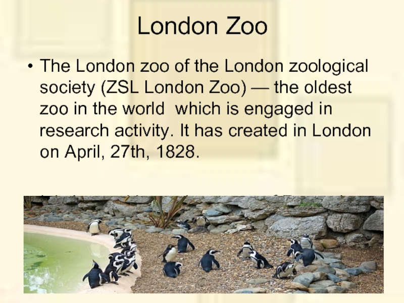 London ZooThe London zoo of the London zoological society (ZSL London Zoo) — the oldest zoo in
