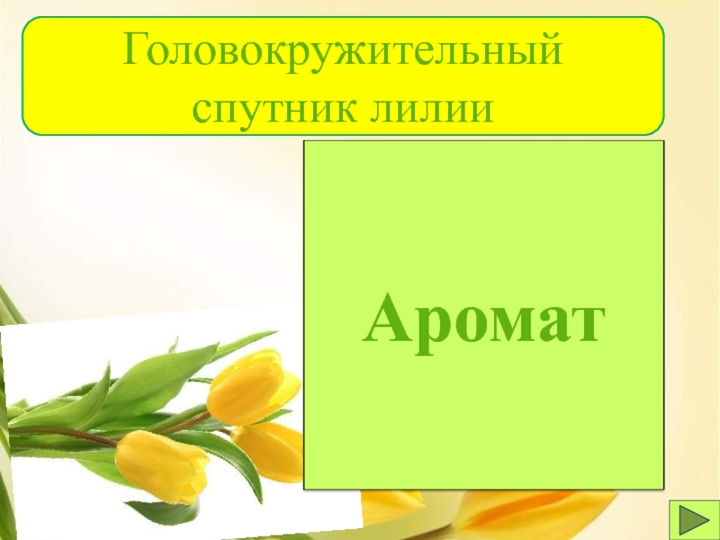 Какой цветок считают. Какой цветок считается китайским символом женственности?. Какой цветок считается символом женственности. Какой цветок считается китайский цветок символ женственности. Какой цветок считается китайским символом женственности фото.