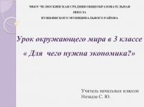 Урок окружающего мира в 3 классе «Для чего нужна экономика?»