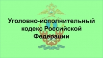 Уголовно-исполнительный кодекс Российской Федерации