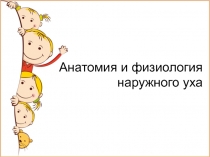 Анатомия и физиология наружного уха