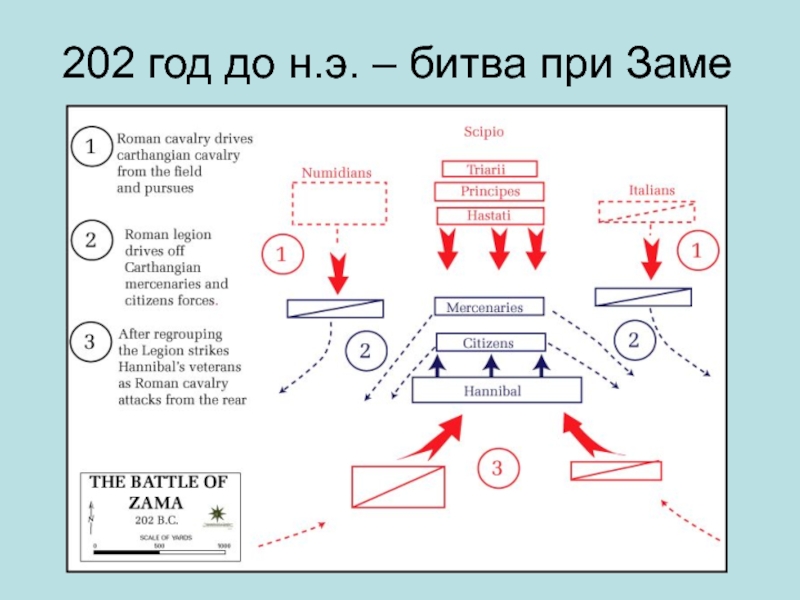 Битва при заме схема