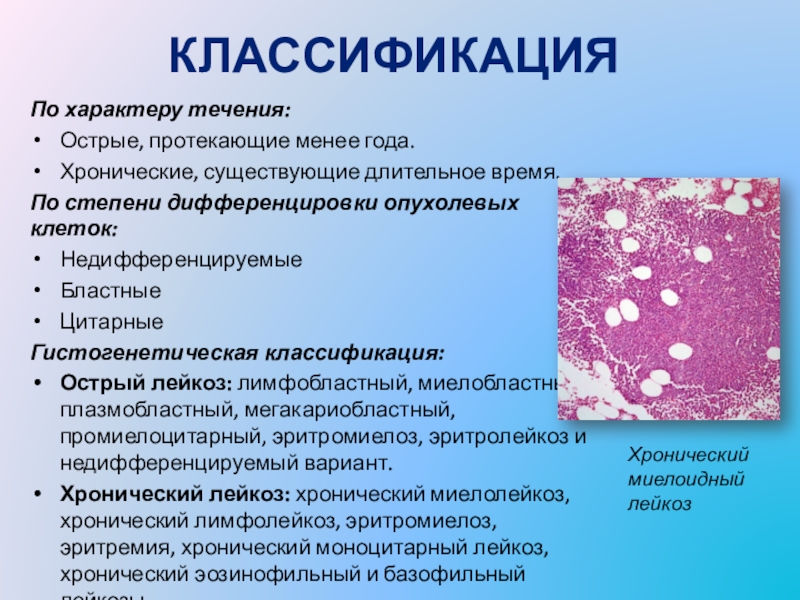 Лейкозы острые и хронические презентация