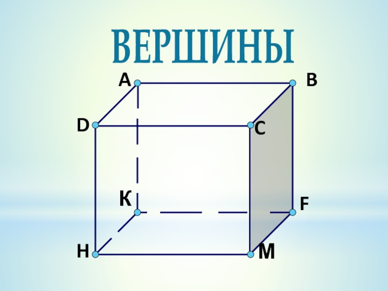 На рисунке изображен прямоугольный параллелепипед oabcdefg у которого вершина e