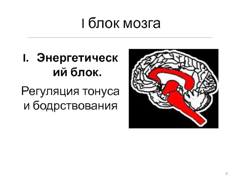 Энергетический блок мозга блок регуляции тонуса и бодрствования презентация