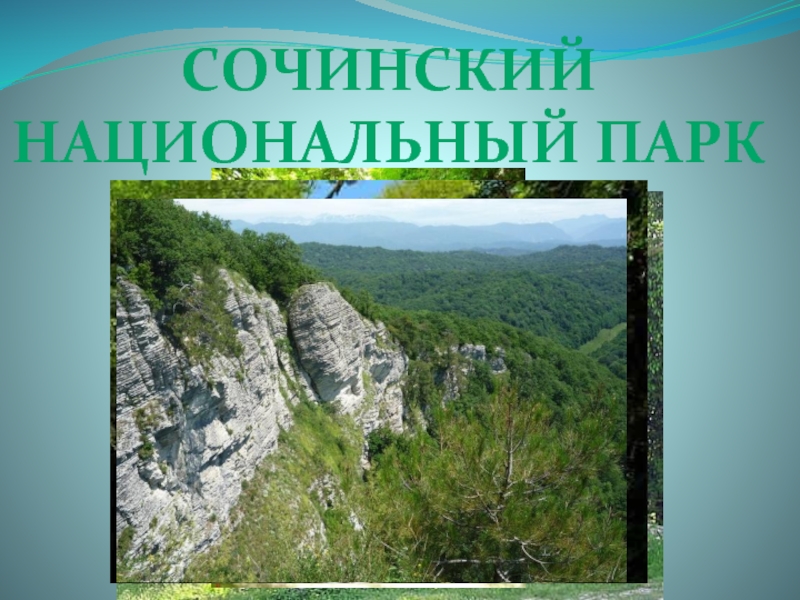 Сочинский национальный парк проект 4 класс окружающий мир